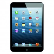 Apple iPad mini 16Gb Wi-Fi Black